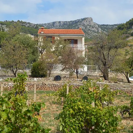 La Casa Del Capitano * Bol