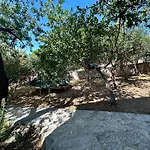 La Casa Del Capitano 公寓 波尔